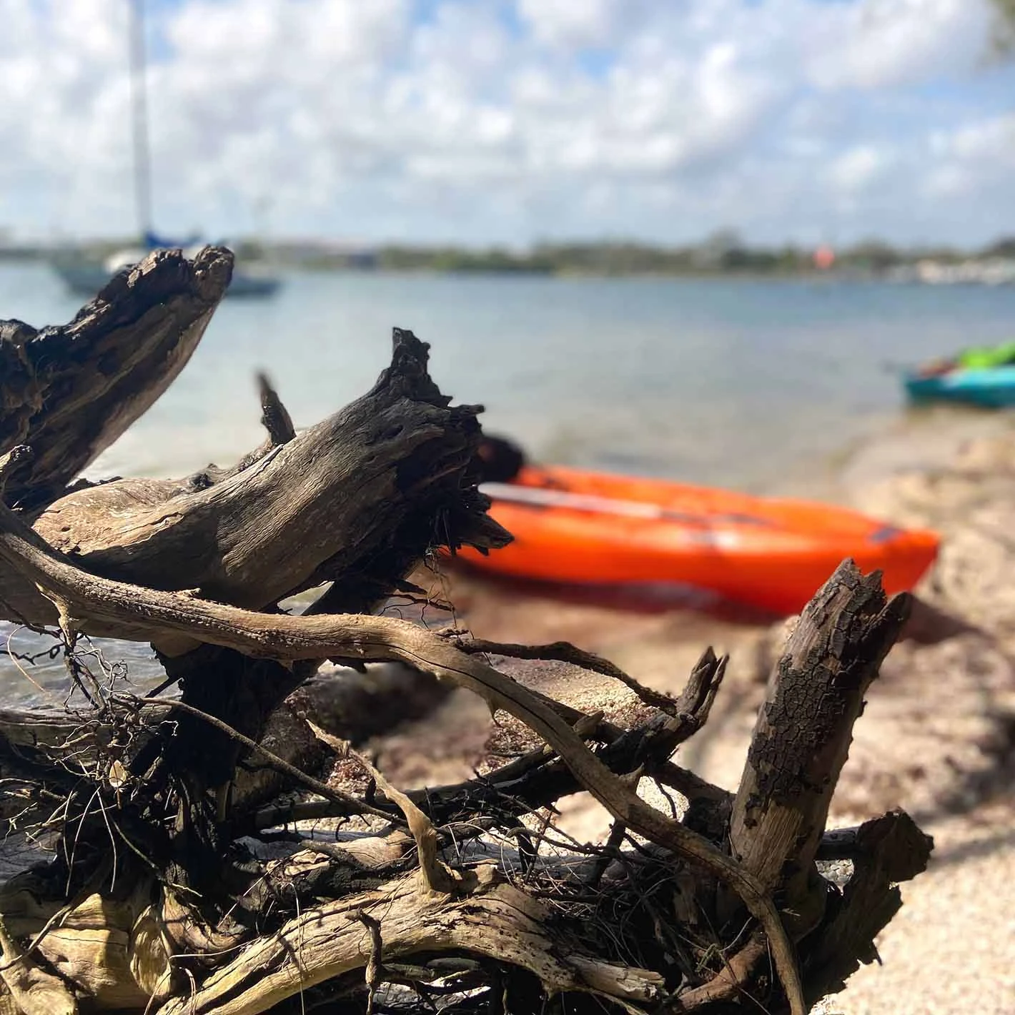 Pelican Sport Pulse 100X With Paddle Kayak 10 Pelican Sport Pulse 100X With Paddle Kayak - Image 10